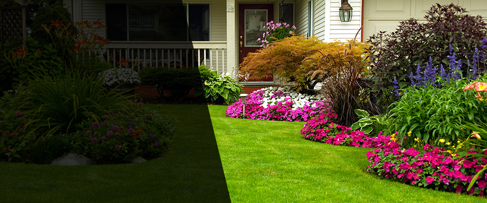 Fort Lee Landscapers