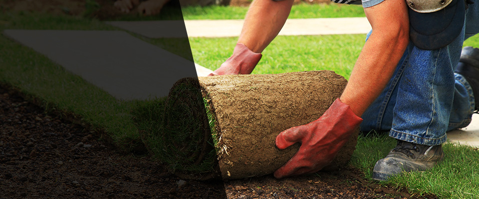 Fort Lee Landscapers